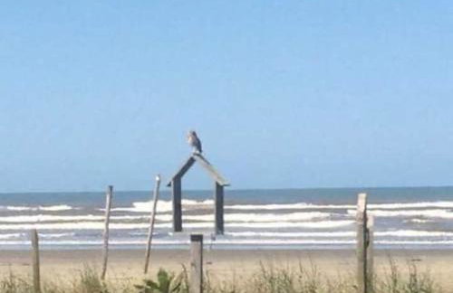 Pé na areia gaivotas com Wi-Fi - Foto 32