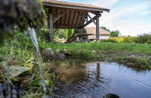 Aux Sources - 14 personnes - sauna & jacuzzi - Photo 23