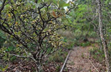 Casas Park Way - Foto 30