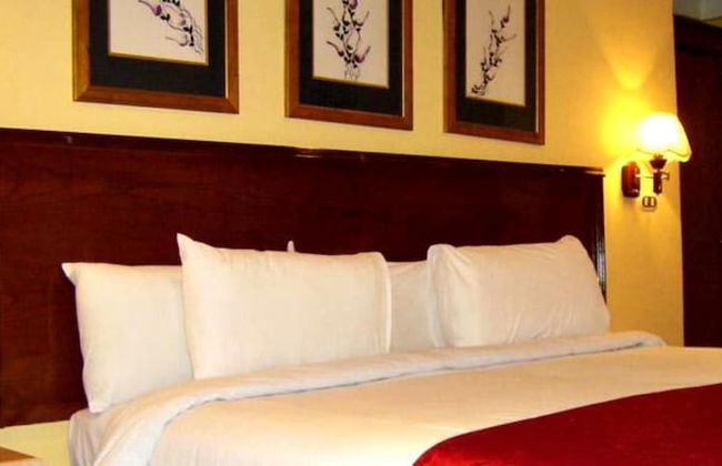 Alexandria Mediterranean Suites - Foto 19