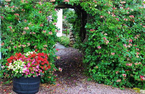 Airdaniar Cottage - Foto 18