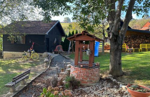 Holiday home DEDINA HIŽICA - Foto 15