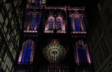 Cosy Studio Centre Strasbourg - Foto 20