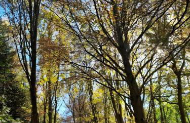 Ferienwohnungen Ambiente-Schmidt - Foto 39