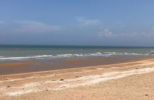 Beau Front de mer cosy accès direct plage St aubin sur mer - Photo 11