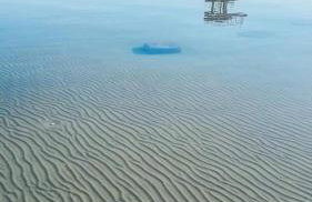 Mare & Bartol - Foto 25