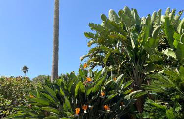 La Paredita Casa Taoro - Foto 29