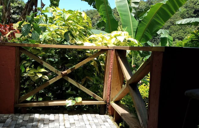 Berkey's Jungle Paradise - Photo 23