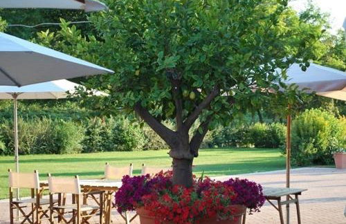 Agriturismo Corte Morandini - Foto 12