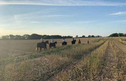 Reihenhaus Geltinger Bucht - Foto 6