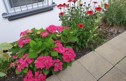 FeWo Deininger - Foto 9