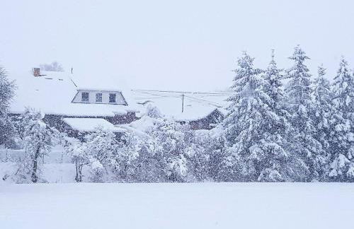 Satow Gartenwohnung - Foto 25
