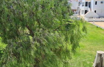 Pedras D'el Rei - Relax Estúdio - Foto 28