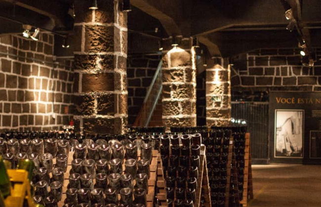 Tren Maria Fumaça + Visita a la Vinícola Aurora - Foto 10