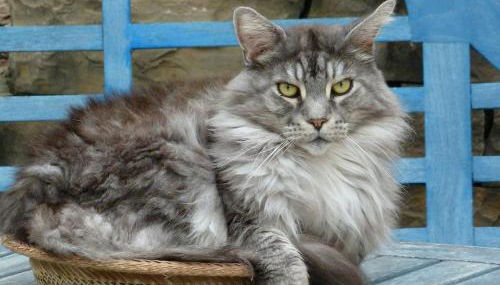 Luxurious private 100sqm studio with infinity pool - Foto 2