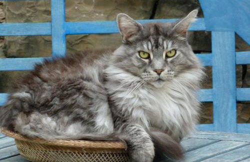 Luxurious private 100sqm studio with infinity pool - Foto 2