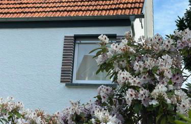 Schönes Haus mit großem Garten - Foto 28