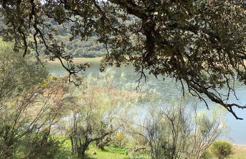 El Capricho - Foto 20