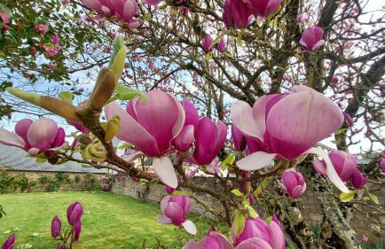 La Villa d'Armel - Foto 49