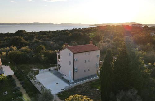 Agava - Photo 7