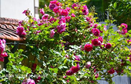 Le Jardin Secret De Beaune - Foto 38