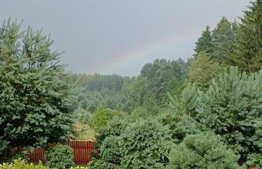 sosnowelowe - Foto 71