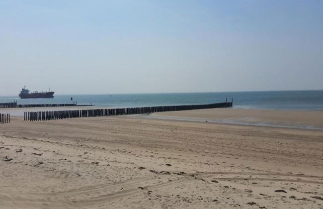 Holiday Home Zoutelande Near Beach - Photo 35