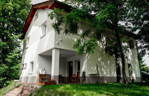 Leśny Dworek - Foto 1