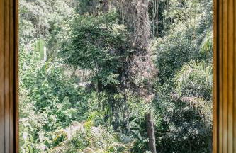 Casa Crudo, PRIVACIDADE NA MATA ATLÂNTICA, piscina, trilhas e descanso - Foto 33