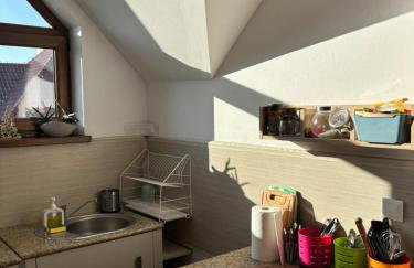 Wiśniowy Sad - Foto 50