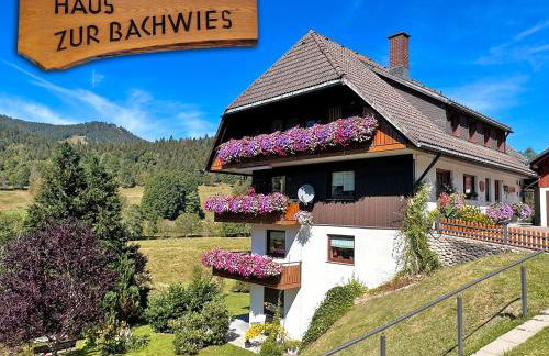 Aufblühen in Menzenschwand - Foto 1