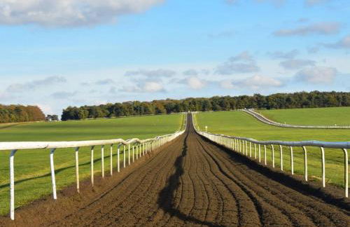 Mill House Townhouse - Foto 27