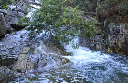 Quinta do Real - Casa de Campo - Foto 10