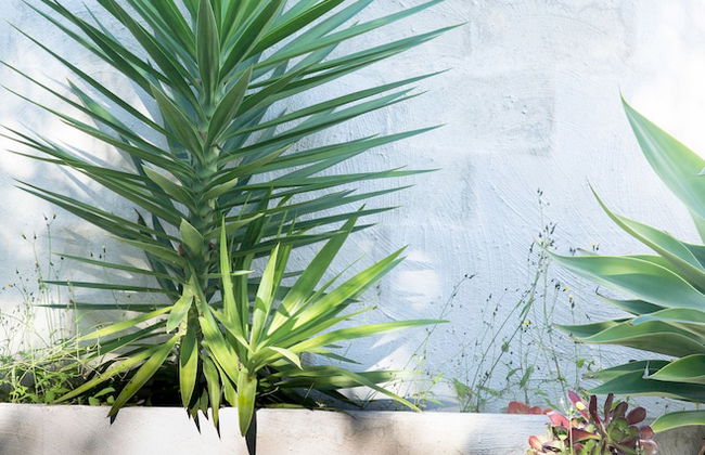 Artist Retreat - Foto 19