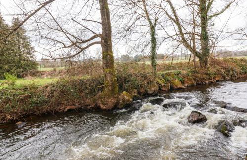 Woodpeckers - Photo 34