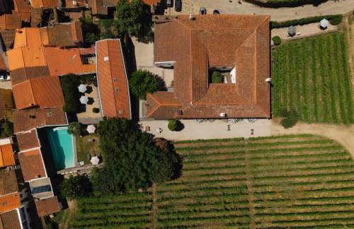 Morgadio da Calcada Douro Wine&Tourism - Photo 30