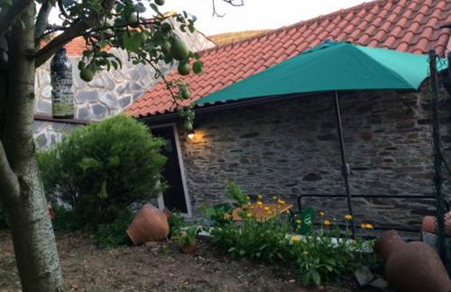 Casa da Travessa do Casal - Photo 39