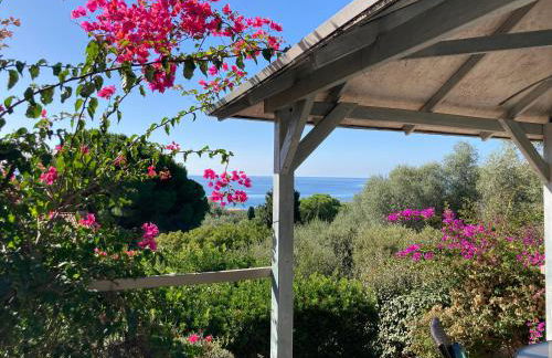 Chez Jean Claude la villa des amis - Foto 60