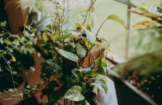 Conestoga Cottage with Hot Tub - Foto 23