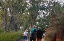 Casa Las Violetas - Photo 34