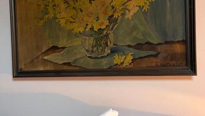 Biały Domek - Foto 4