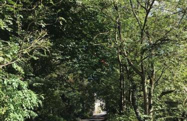 River View - Photo 39