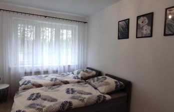 Apartamenty AgPa7 - Foto 15