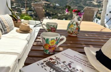 Babatseratsi skyrian studio 1 - Photo 14