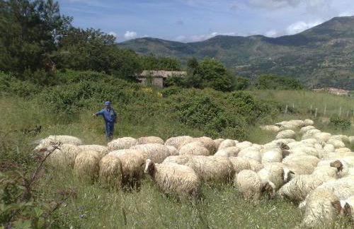 La Locanda Di Cadì - Foto 66
