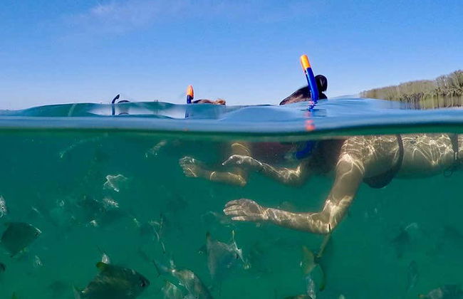 Balade en kayak + Snorkeling à Gold Coast - Photo 3