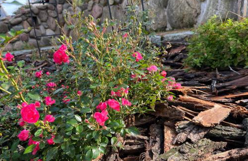 Drewniany Domek w Zakątku Andrzeje Śniczany 18 - Photo 63