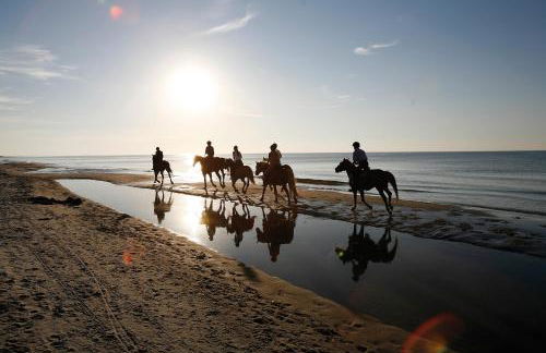 FeWo Dierhagen - Zwischen den Wassern - Ostsee und Bodden - Foto 18