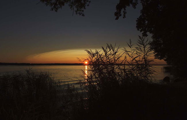 Mompox Private Sunset Cruise - Foto 2