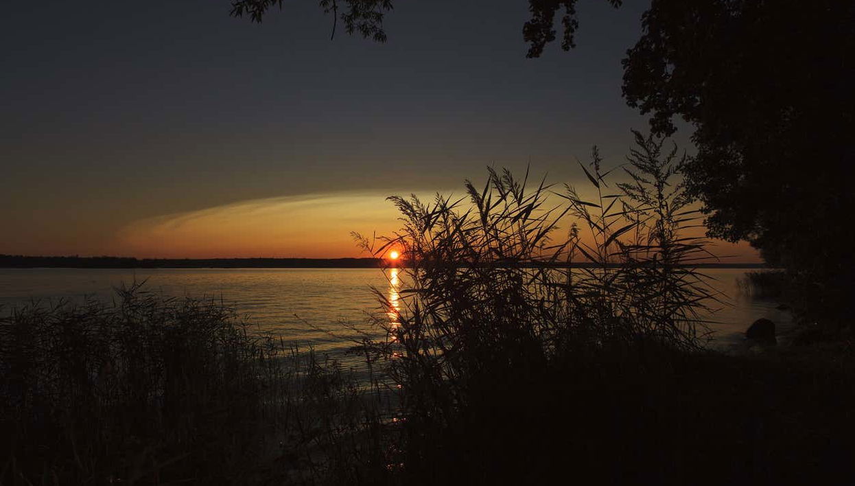 Mompox Private Sunset Cruise - Foto 2